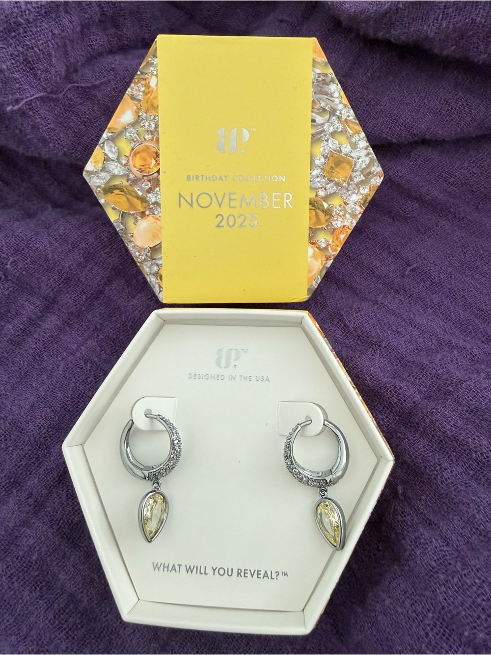 Bomb Party November 2025 Earrings “Dance in Fixed Places”